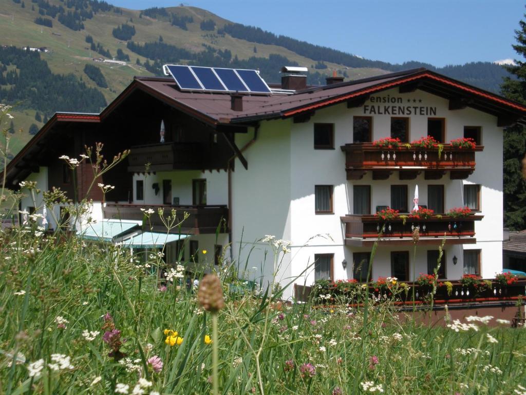 Falkenstein Saalbach-Hinterglemm